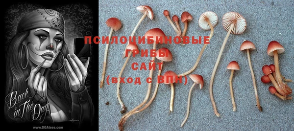 jwh Беломорск