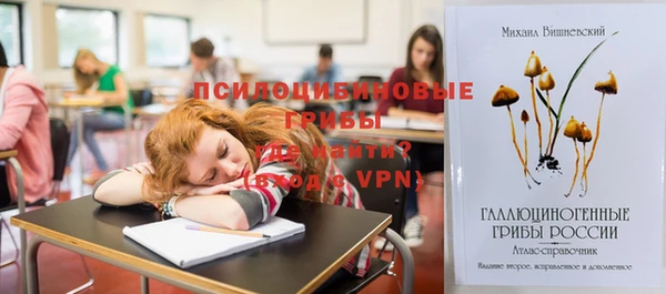 индика Белоозёрский
