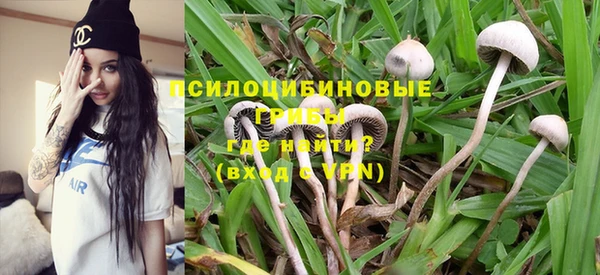 индика Белоозёрский