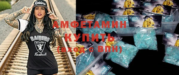 индика Белоозёрский