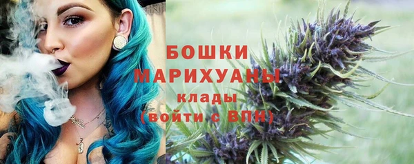 индика Белоозёрский